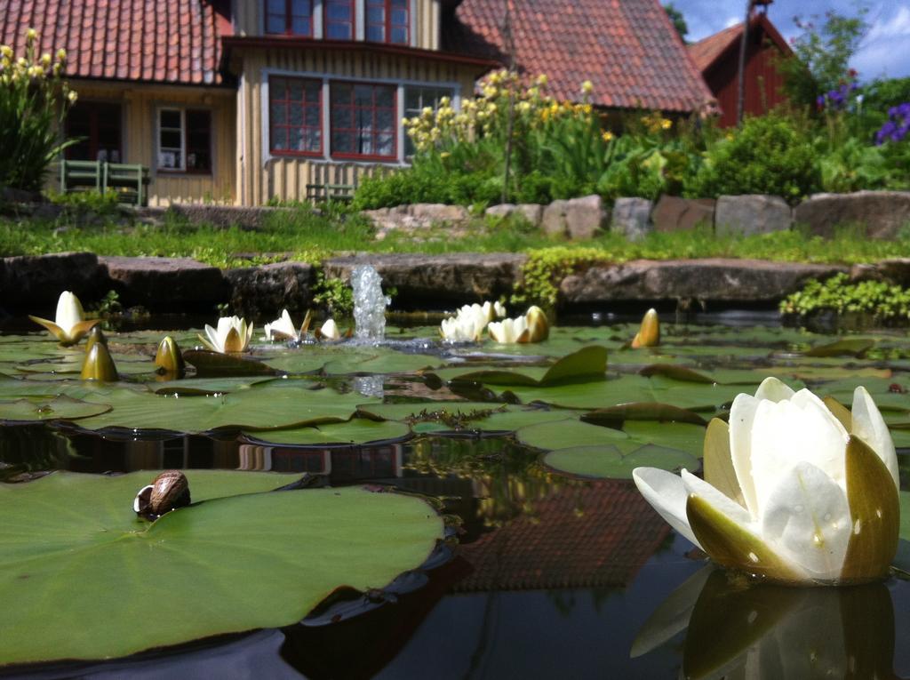 Vildrosor & Hoens Hagstad Dış mekan fotoğraf